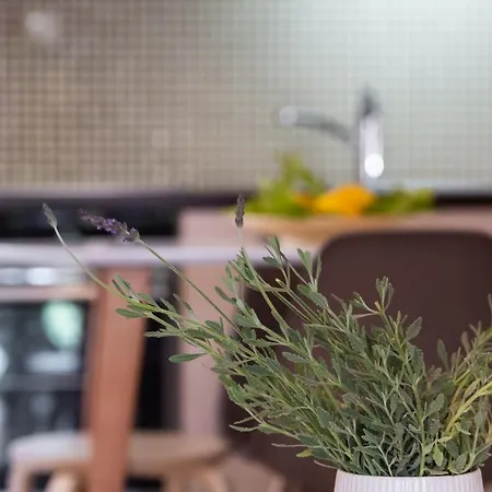 Daire La Strada Lefkáda